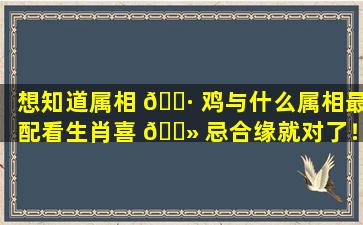 想知道属相 🌷 鸡与什么属相最配看生肖喜 🌻 忌合缘就对了！